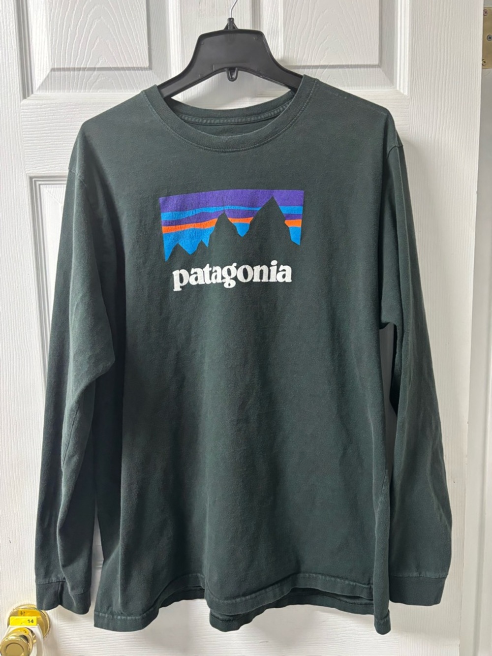 Patagonia Crewneck Long Sleeve with Multicolor Mountain Logo Dark
Green Men’s XL